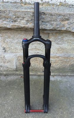 fourche sid brain 1.jpg