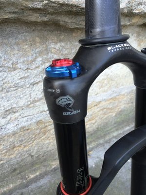 fourche sid brain 2.jpg